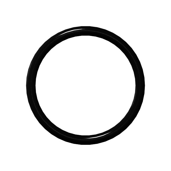 World Wide Fittings Flat Face O-Ring O-Ring - 90 Durometer Buna 4629X24 - main